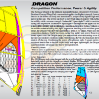 dragon 2024